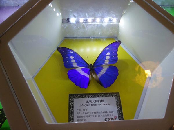 2014年公司員工活動——“蝶谷-靖港古鎮- 銅官窯一日自駕游” 2014年公司員工活動——“蝶谷-靖港古鎮- 銅官窯一日自駕游”